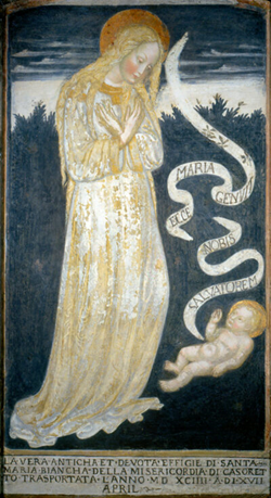 affresco della madonna Bianca